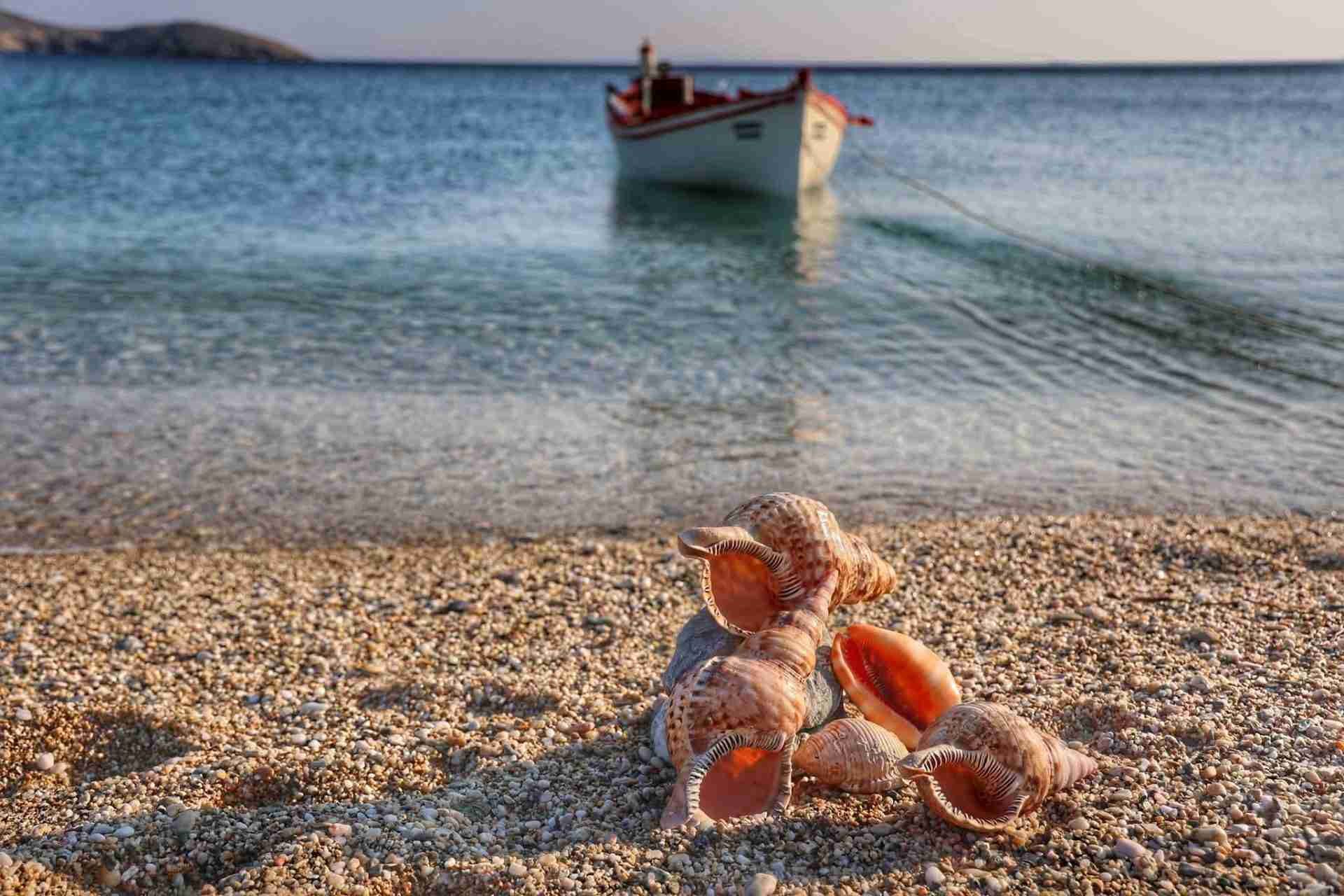 Οι παραλίες της Βόρειας Άνδρου: Βλυχάδα