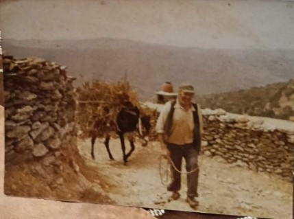 Άνδρας περπατάει μπροστά από το γαϊδουράκι του φορτωμένο με άχυρα